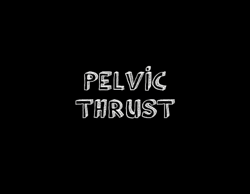 the pelvic thrust (1)